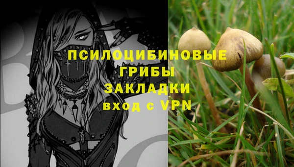 амф Михайловка