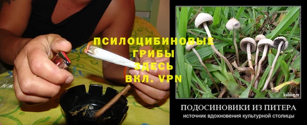 сатива Липки