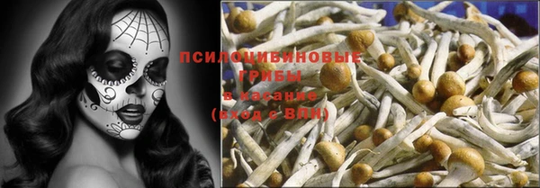 мет Мегион