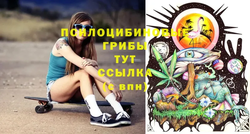 Галлюциногенные грибы Psilocybe  Карталы 