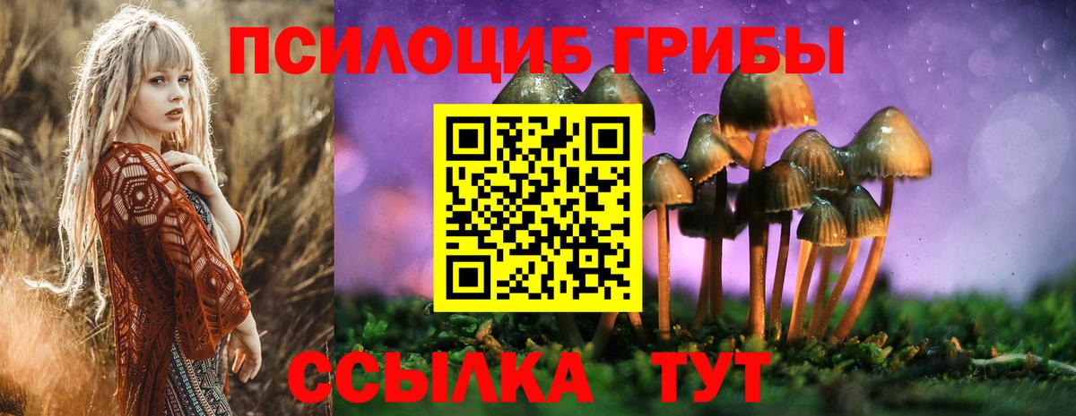 Галлюциногенные грибы прущие грибы Карталы