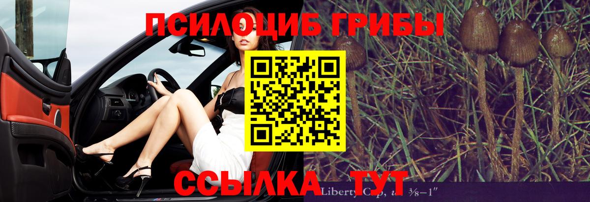 что такое наркотик  Карталы  Псилоцибиновые грибы Psilocybine cubensis 