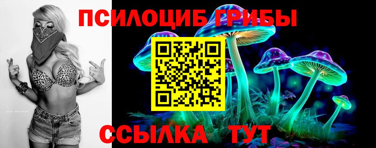 Псилоцибиновые грибы Psilocybe Карталы