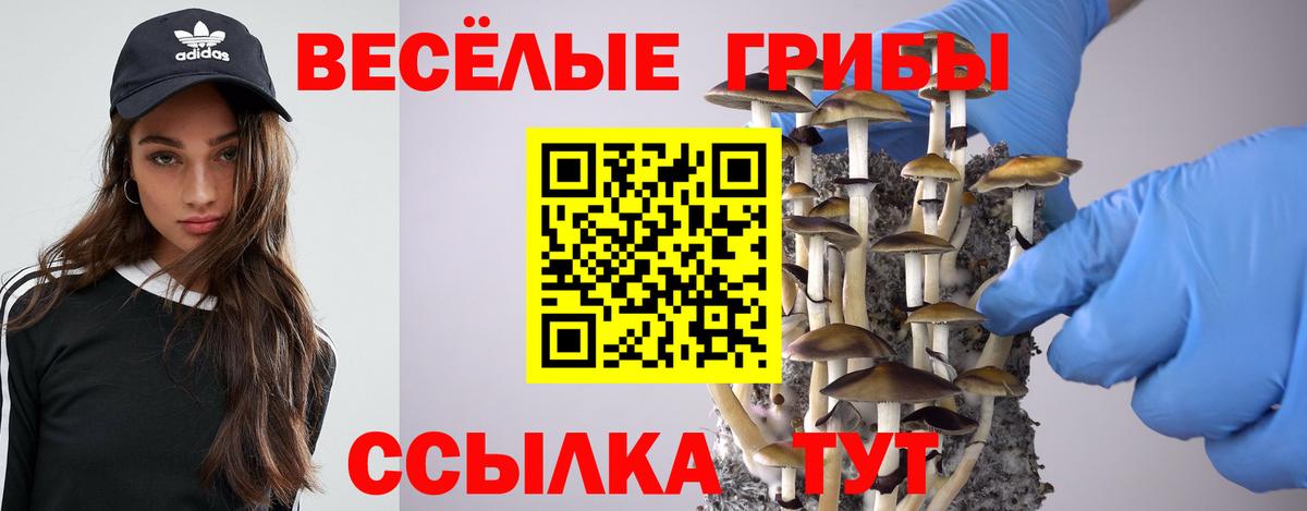 Псилоцибиновые грибы прущие грибы  Вход с VPN  наркошоп  Карталы 